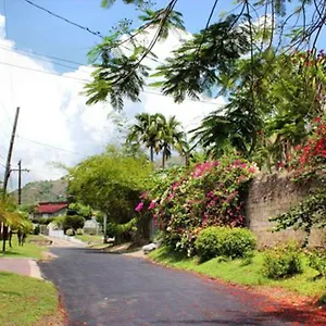 Widcombe 8 Homestay Kingston